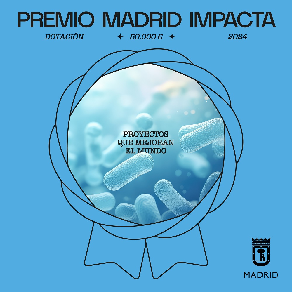 Creatividad Premio Madrid Impacta 2024
